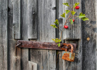 Learn The Effectiveness Of Security Doors In Home Protection security doors