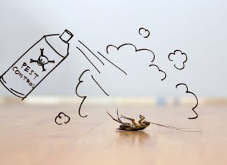 6 Signs Your Home Needs a Visit From Pest Control pest control