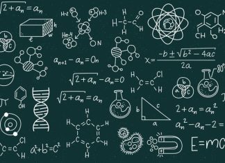 Let’s Learn About Fraction fraction