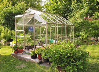 How To Look After a Greenhouse: Top Tips greenhouse