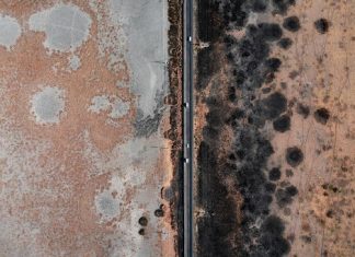 Proper Mold Removal mold remove