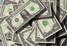 How to earn from the forex market