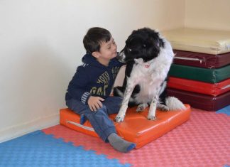 Down Syndrome and Man’s Best Friend Down Syndrome and Man’s Best Friend.