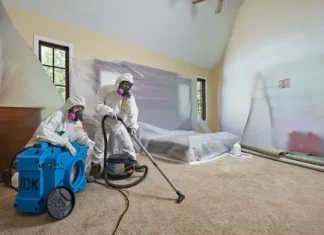 Consider Commercial Mold Testing for Your Office This Year