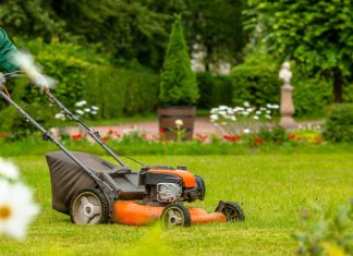The Essential Guide to Denver Lawn Care: Tips and Tricks for a Beautiful Yard