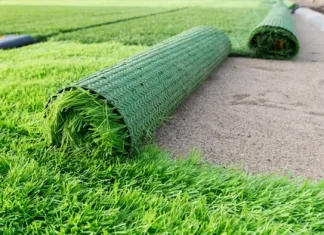 Find the Best Pet Friendly Turf Installers for Your Outdoor Space